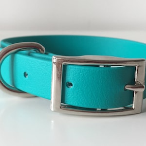 May include: A turquoise blue dog collar with a silver buckle. The collar is made of a soft, durable material and is perfect for everyday wear.