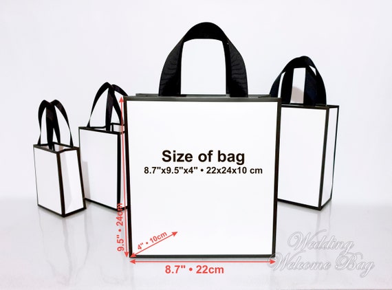 HADEEONG 10 Pcs Gift Bags with Handles and Ribbon, 9.8 x 7.8