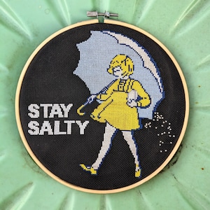 Kit de punto de cruz Stay Salty, cultura pop, punto de cruz divertido, salt bae, punto de cruz subversivo imagen 3