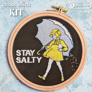 Stay Salty cross stitch kit, pop culture, funny cross stitch, salt bae, subversive cross stitch