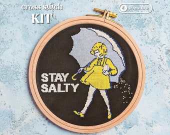 Stay Salty cross stitch kit, pop culture, funny cross stitch, salt bae, subversive cross stitch