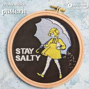Stay Salty cross stitch pattern, digital download, pop culture, funny cross stitch, salt bae, subversive cross stitch