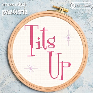 Tits Up Cross Stitch Pattern, Digital Download, funny cross stitch, pop culture, modern image 1