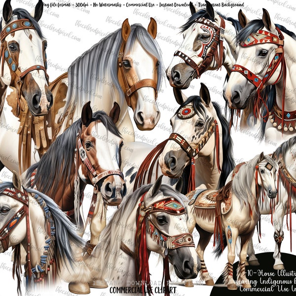 Horse Watercolor Clipart, Horse sublimation png, Watercolor Horse Illustration, Horse png, commercial use, Indigenous Horses v4, Native
