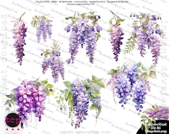 Watercolor Wisteria floral pngs, wisteria clip art, Commercial clipart, individual pngs, watercolor floral png, wisteria vines floral flower