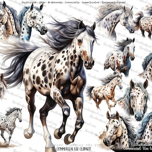 Appaloosa Horse Watercolor Clipart: Sublimation PNG (Commercial Use)