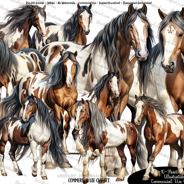 Paint Horse Watercolor Clipart, Horse sublimation png, Watercolor Horse Illustration, Horse png, commercial use, Horse png clipart, v5