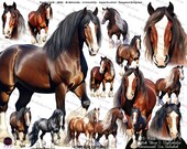 Clydesdale Horse Watercolor Clipart: Commercial Use PNG (Digital Download)