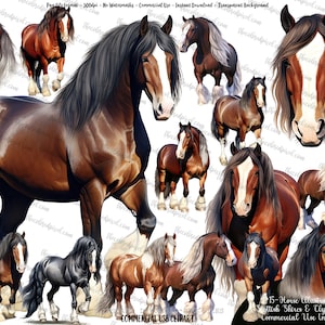 Clydesdale Horse Watercolor Clipart, Horse sublimation png, Watercolor Horse Illustration, Horse png, clipart commercial use v3