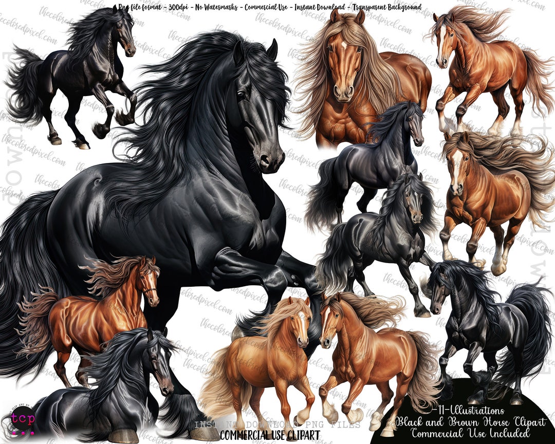 Stallion Horse Watercolor Clipart, Horse Sublimation Png, Watercolor ...