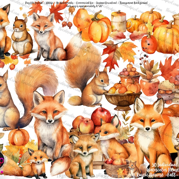 Herbst Kürbisse Ernte Clipart pngs, Herbst Herbst Fuchs Eichhörnchen Kürbisse Essen Ernte Fest Clipart Essen pngs Sublimation v081323-t01