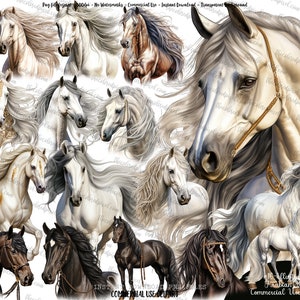 Arabisches Pferd Aquarell Clipart, Pferd Sublimation png, Aquarell Pferd Illustration, Pferd png, Clipart kommerzielle Nutzung, Pferd Clipart 1