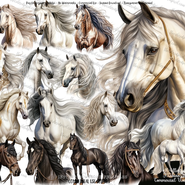 Arabian Horse Watercolor Clipart, Horse sublimation png, Watercolor Horse Illustration, Horse png, clipart commercial use, Horse clipart 1