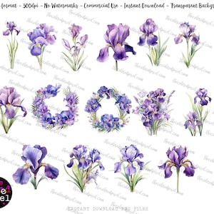 May include: A set of 10 watercolor illustrations of purple iris flowers with green leaves. The flowers are arranged in various positions and sizes, some in bouquets, some in wreaths, and some as single blooms.