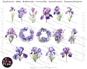 Watercolor Iris Clipart: Floral Bouquet PNGs (Commercial Use)