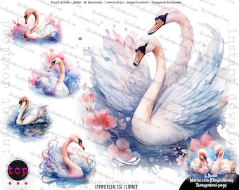 Watercolor Swan & Cygnets Clipart: Commercial Use PNG (Digital Download)