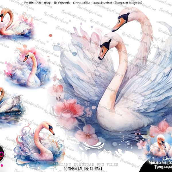 Watercolor Swans and Cygnets pngs, swan clipart, baby swan clipart, Swan clip art, watercolor swans with babies, commercial use clip art