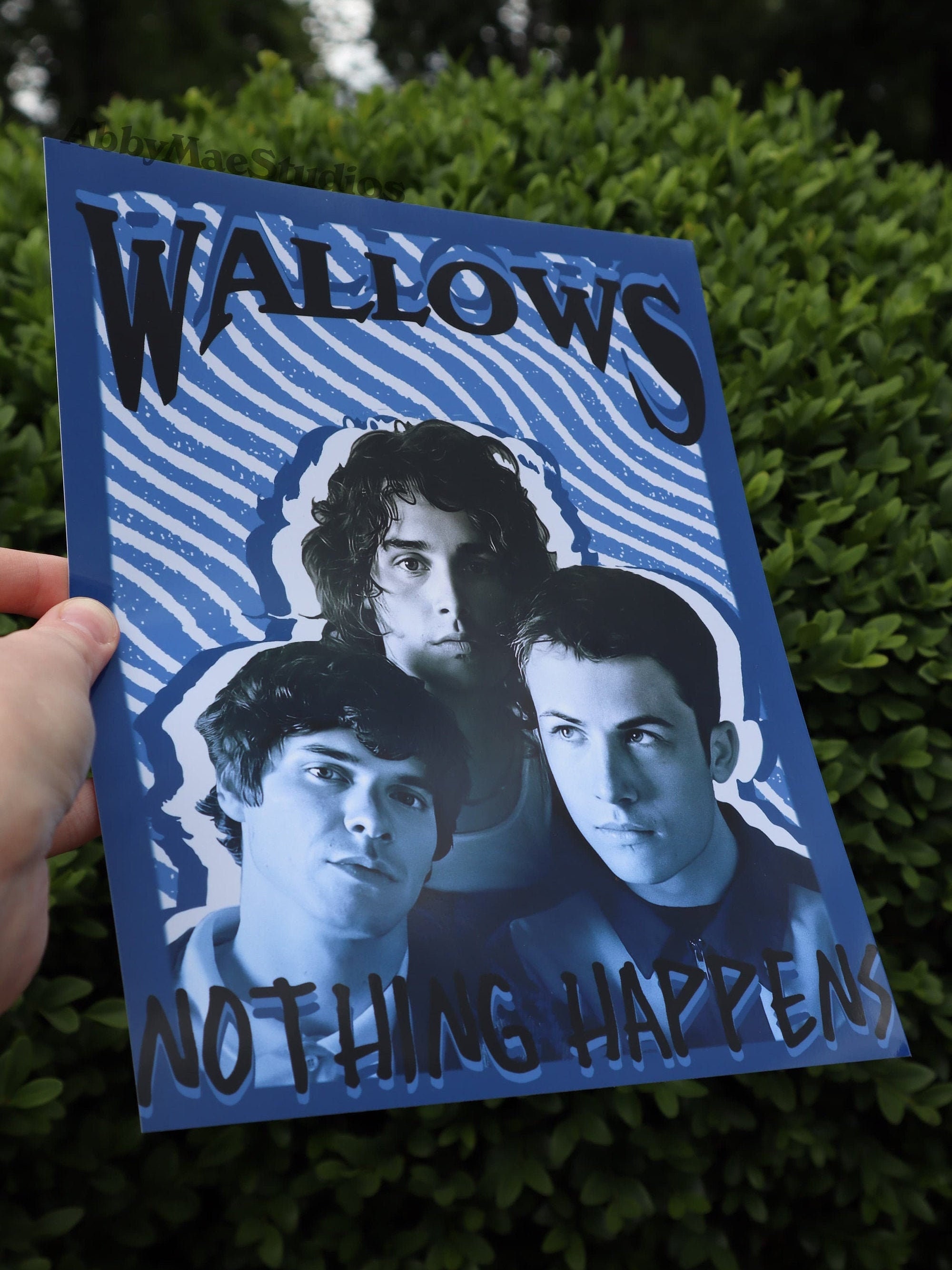 Wallows Poster | Etsy