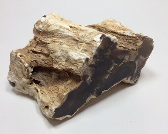 PETRIFIED WOOD Specimen 4" - Dark Red Color Fossil Wood - Fossil Stone - Two Sides Sliced - Unpolished - Rough - From Arizona - 365g