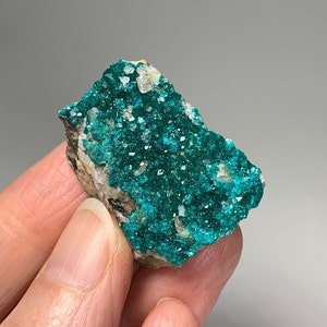 May include: A vibrant, teal-colored mineral specimen. The surface is covered in sparkling, crystalline formations. The mineral sits on a matrix of beige and gray rock. The overall appearance is rough and natural, showcasing the beauty of raw minerals.