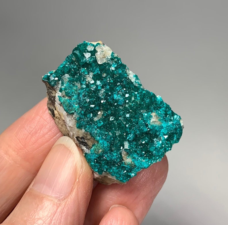 May include: A vibrant, teal-colored mineral specimen. The surface is covered in sparkling, crystalline formations. The mineral sits on a matrix of beige and gray rock. The overall appearance is rough and natural, showcasing the beauty of raw minerals.