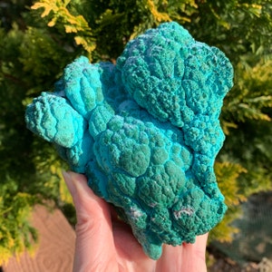 MALACHITE With CHRYSOCOLLA 4.8&quot; - Raw Natural Mineral - 2.4lb