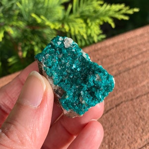 May include: A vibrant, teal-colored mineral specimen with a crystalline structure. The mineral is set against a backdrop of a natural, earthy-toned surface. The teal crystals are clustered together, creating a textured appearance.
