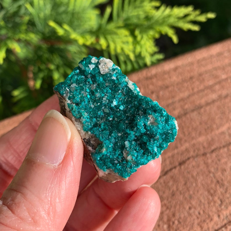 May include: A vibrant, teal-colored mineral specimen with a crystalline structure. The mineral is set against a backdrop of a natural, earthy-toned surface. The teal crystals are clustered together, creating a textured appearance.