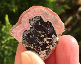 RHODOCHROSITE Crystal 1.2" - Sliced and Polished Stalactite - Part Raw - Natural - Healing Crystal - Meditation Crystal - From Argentina 10g