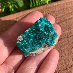 May include: A vibrant, teal-colored mineral specimen with a crystalline structure. The mineral is set against a light-colored matrix, showcasing its rich color and texture. The specimen is held in a hand, highlighting its size and form.