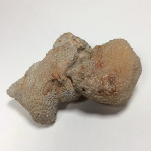 Raw BOTRYOIDAL CHALCEDONY Crystal 3.3&quot; - Natural Mineral - Rough Stone - Healing Crystal - Meditation Stone - 148g