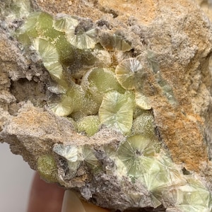 May include: Close-up of a mineral specimen featuring clusters of pale green, radiating crystal formations. The crystals are set within a matrix of tan and gray rock, creating a textured and natural appearance. The overall composition highlights the intricate details of the mineral.