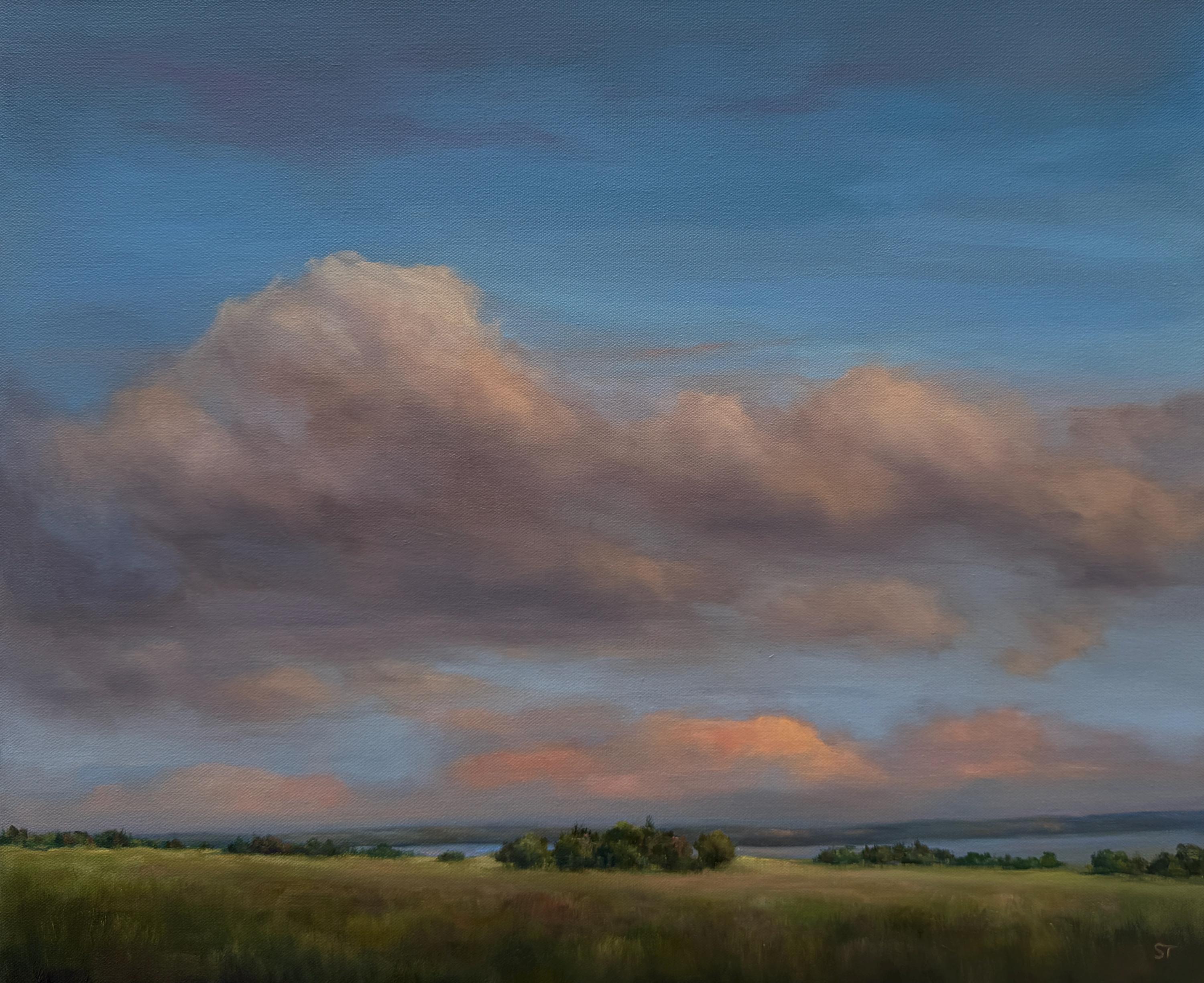 Large Original 20 X 24 Inch Oil Landscape Painting- Dramatic Sky