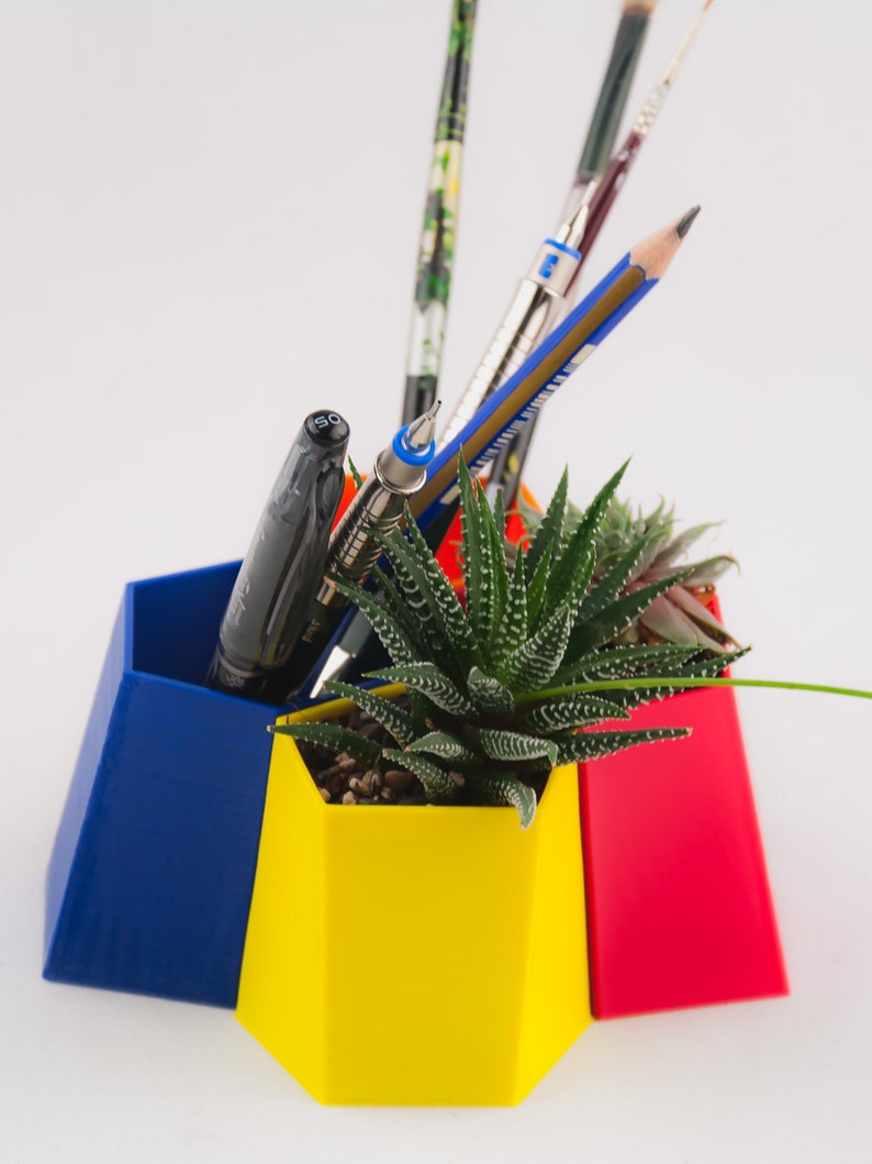 Par de Scutoid Succulent Planter&Pen Holder, Regalo de Navidad personalizado para un amigo, Organizador de escritorio impreso en 3D, Maceta de aire imagen 5