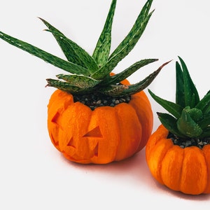 Halloween Planter, Pumpkin Decorations, 3D Printed Planters, Air Plant Pot for mom&her, Cute garden gift ideas for girlfriend from boyfriend image 2