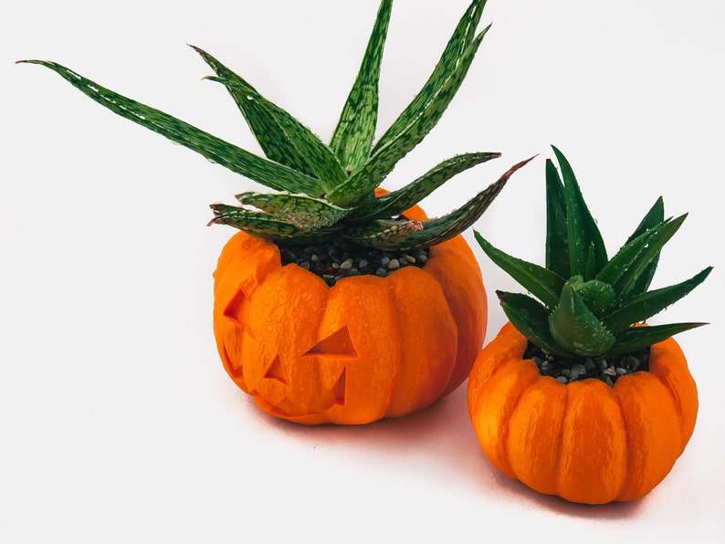 Halloween Planter, Pumpkin Decorations, 3D Printed Planters, Air Plant Pot for mom&her, Cute garden gift ideas for girlfriend from boyfriend image 2