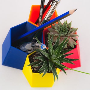 Par de Scutoid Succulent Planter&Pen Holder, Regalo de Navidad personalizado para un amigo, Organizador de escritorio impreso en 3D, Maceta de aire imagen 3