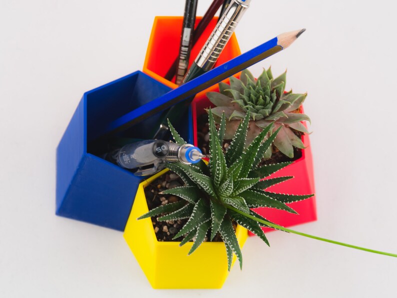 Par de Scutoid Succulent Planter&Pen Holder, Regalo de Navidad personalizado para un amigo, Organizador de escritorio impreso en 3D, Maceta de aire imagen 3