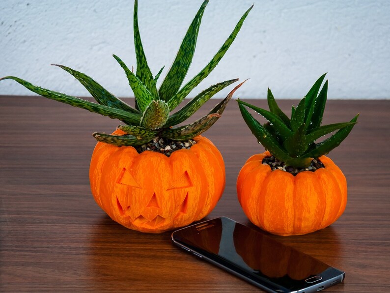 Halloween Planter, Pumpkin Decorations, 3D Printed Planters, Air Plant Pot for mom&her, Cute garden gift ideas for girlfriend from boyfriend image 6