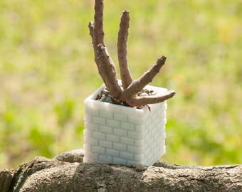 3D Printed Geometric Succulent Planter, Modern Home Decor