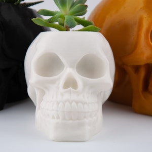 Human Skull Planter, Halloween Succulent Planter, 3D Printed Head Plant Pot, Spooky garden decoration, Creepy Makeup Brush Holder image 7