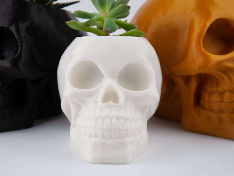 Human Skull Planter, Halloween Succulent Planter, 3D Printed Head Plant Pot, Spooky garden decoration, Creepy Makeup Brush Holder image 7