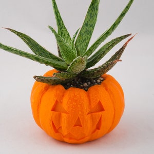 Halloween Planter, Pumpkin Decorations, 3D Printed Planters, Air Plant Pot for mom&her, Cute garden gift ideas for girlfriend from boyfriend image 3