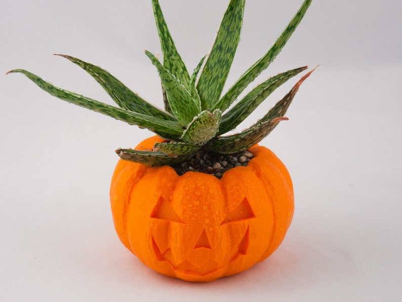 Halloween Planter, Pumpkin Decorations, 3D Printed Planters, Air Plant Pot for mom&her, Cute garden gift ideas for girlfriend from boyfriend image 3