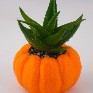 Halloween Planter, Pumpkin Decorations, 3D Printed Planters, Air Plant Pot for mom&her, Cute garden gift ideas for girlfriend from boyfriend image 4