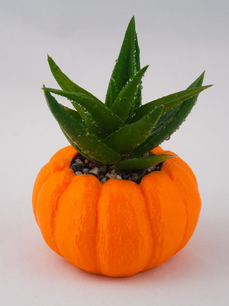 Halloween Planter, Pumpkin Decorations, 3D Printed Planters, Air Plant Pot for mom&her, Cute garden gift ideas for girlfriend from boyfriend image 4