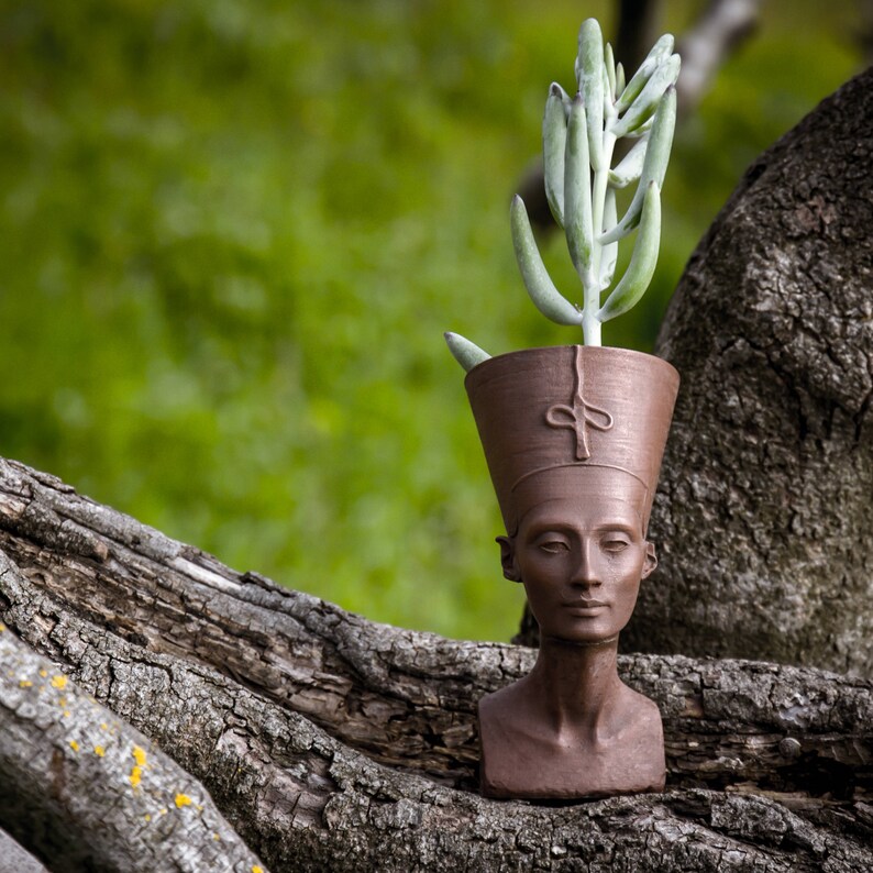 Nefertiti succulent head planter Air plant cactus pot Etsy