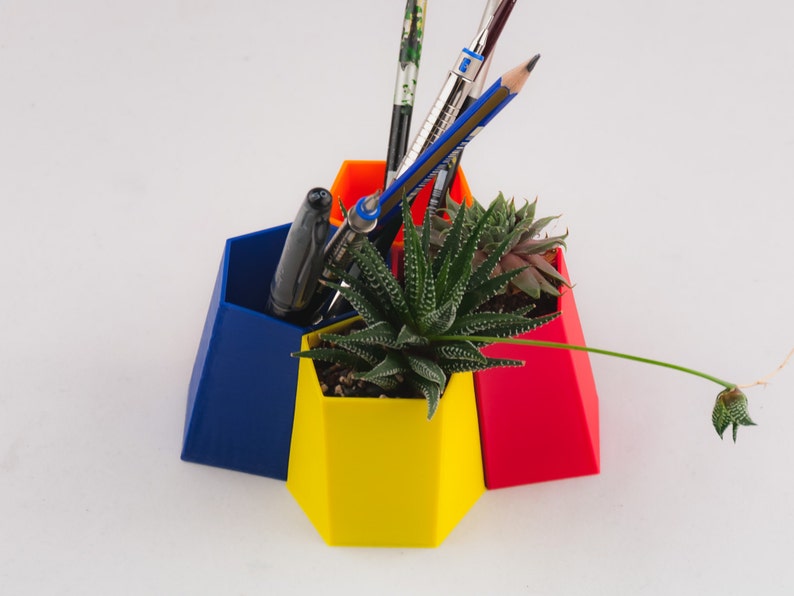 Par de Scutoid Succulent Planter&Pen Holder, Regalo de Navidad personalizado para un amigo, Organizador de escritorio impreso en 3D, Maceta de aire imagen 1