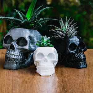 Human Skull Planter, Halloween Succulent Planter, 3D Printed Head Plant Pot, Spooky garden decoration, Creepy Makeup Brush Holder image 2