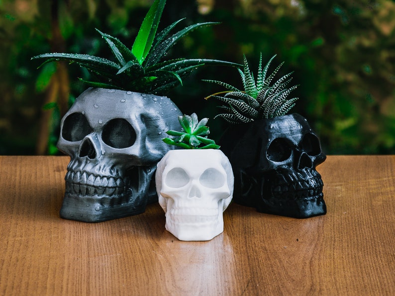 Human Skull Planter, Halloween Succulent Planter, 3D Printed Head Plant Pot, Spooky garden decoration, Creepy Makeup Brush Holder image 2
